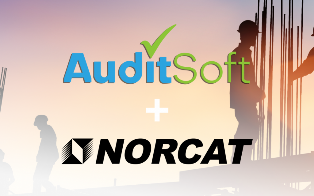 Norcat and auditsoft