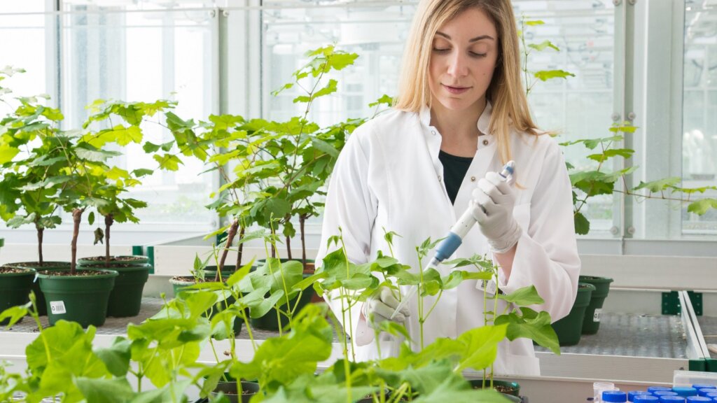 female scientist conducting tests on plants