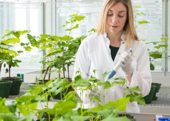 female scientist conducting tests on plants
